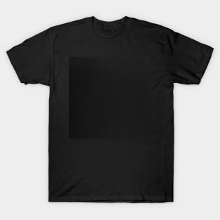 Black leather texture T-Shirt